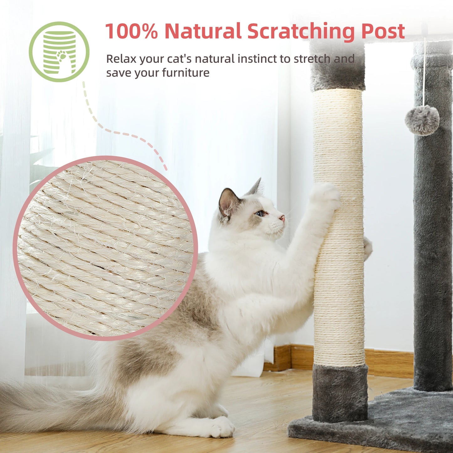 Floor to Ceiling Cat Tower, Scratching Posts, Condo, Hammock
