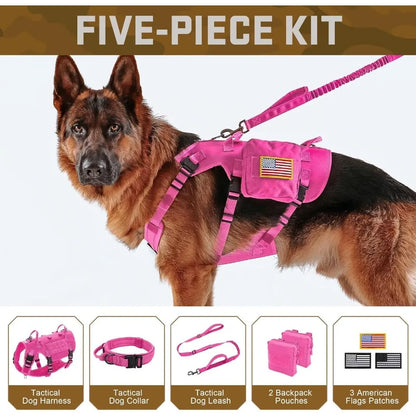 Pink Tactical Harness Large Collar with Bungee Leash