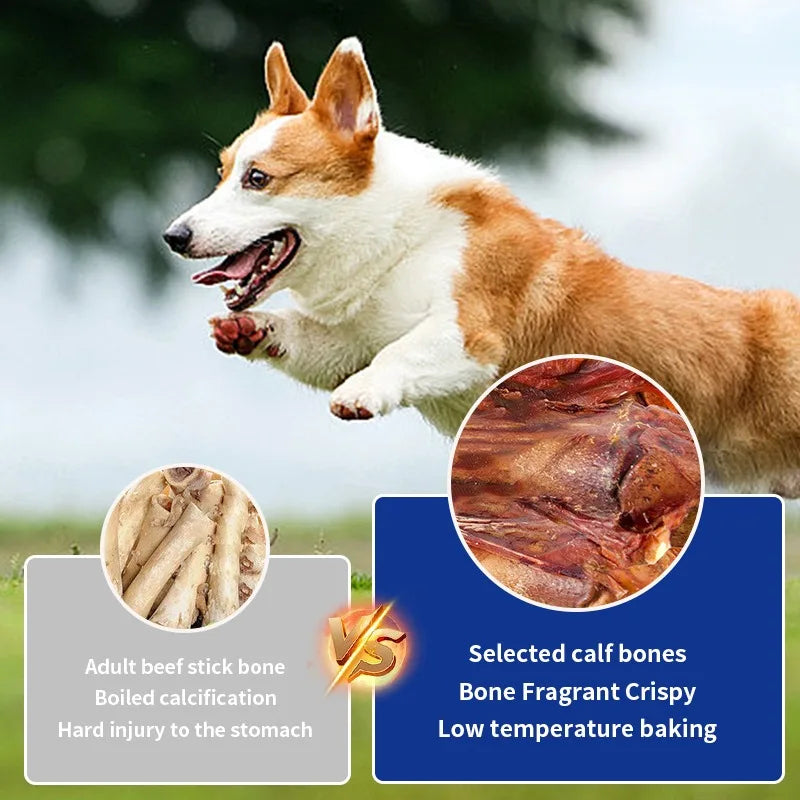 Crispy Beef Stick Flavorful Bone