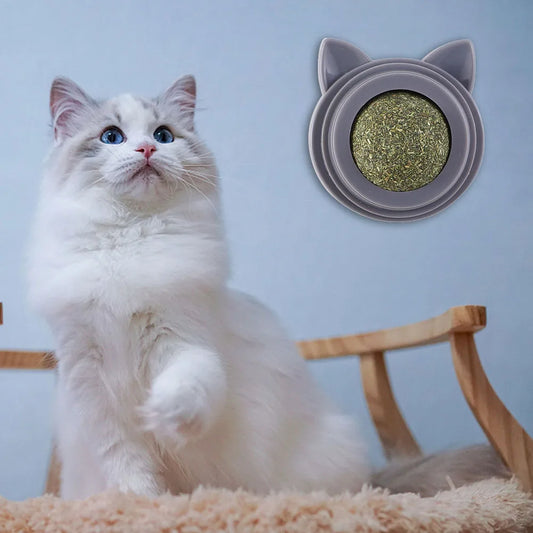 Rotatable Catnip Toy for Cats Self-Adhesive Wall Ball