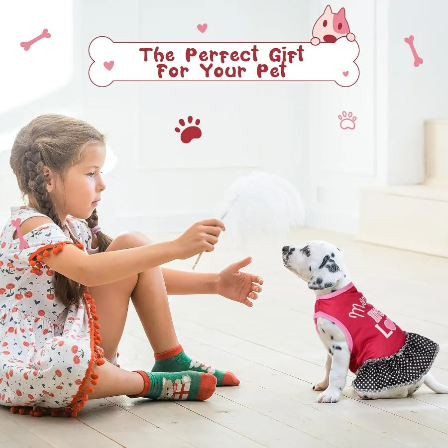 6 Pack Sundress Summer Apparel with Ruffles for Pets