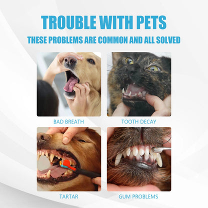 Fights Cavities Bad Breath Removes Tartar Oral Care