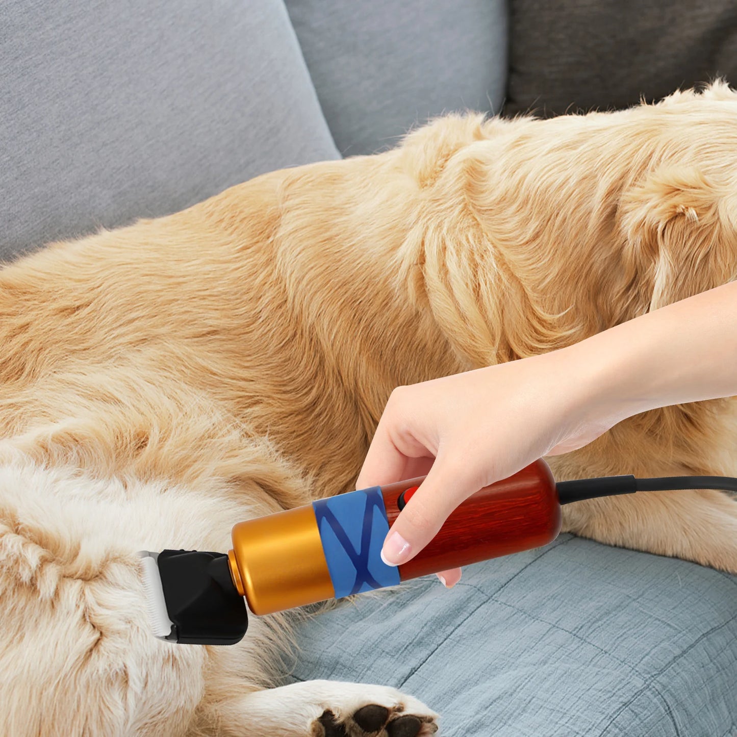 Pet Hair Clipper Low Noise High-efficiency  Variable Speed
