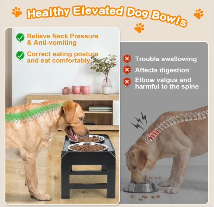 2 Stainless Steel Food Bowls 4 Height Adjustable Rack Black