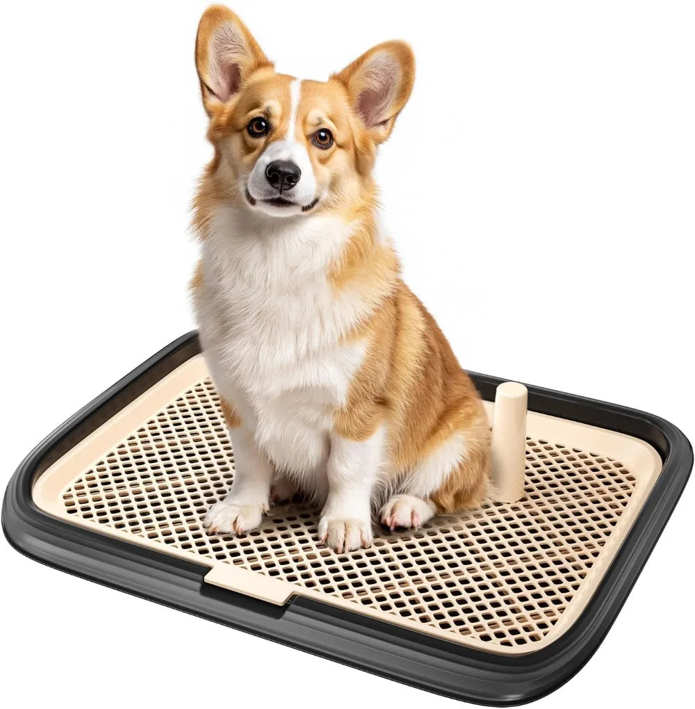 Dog Potty Tray, 23.6"x17.7" Indoor Pet Pee Pad Holder