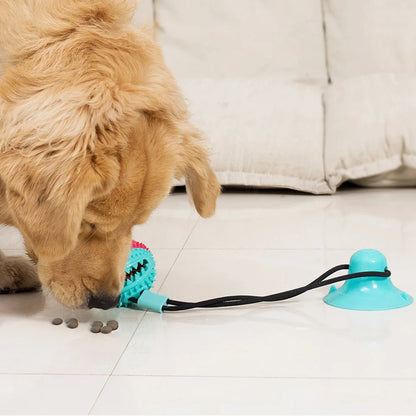 Silicon Suction Cup Tug Interactive Dog Ball Toy