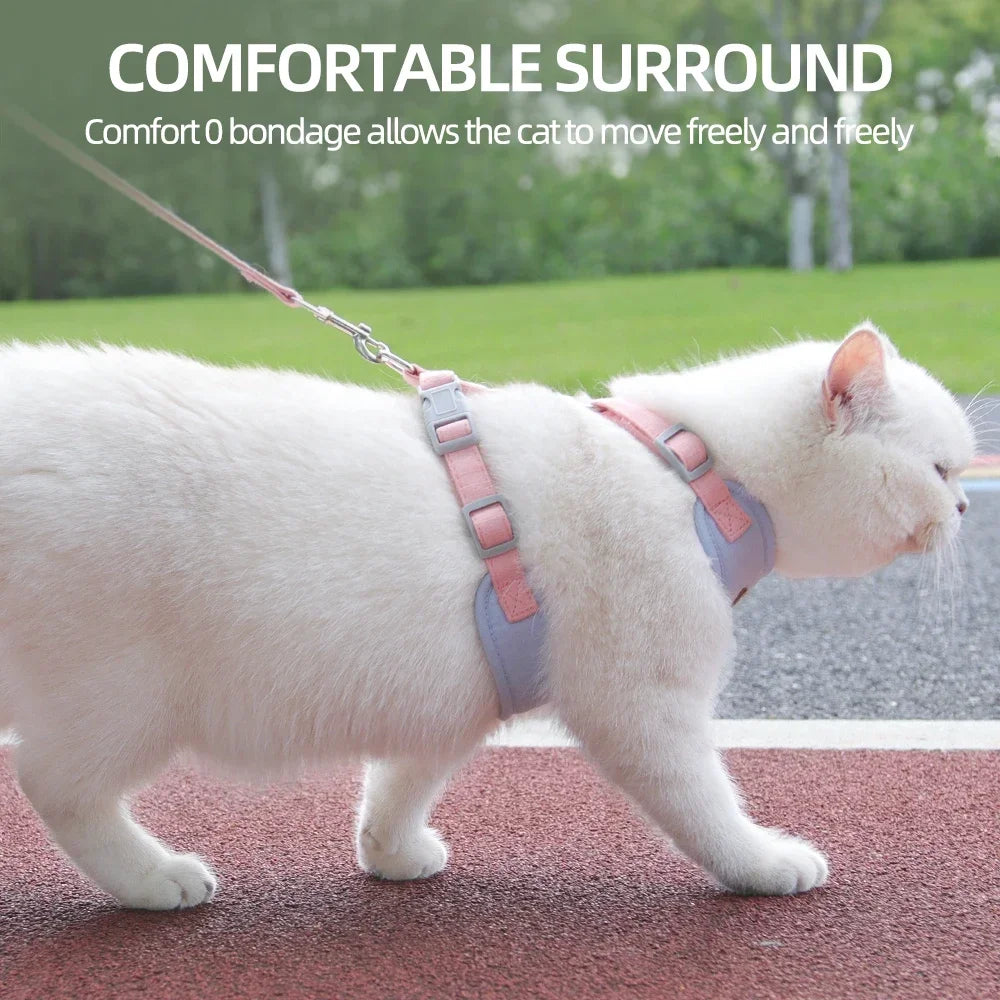 Cat Puppy Outdoor Harness and Leash Set