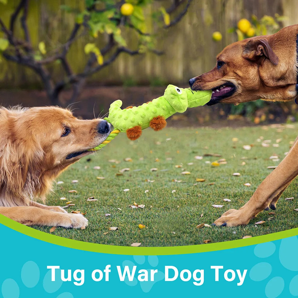 Dog Squeaky Toy, 2 Pack, Tug of War Interactive