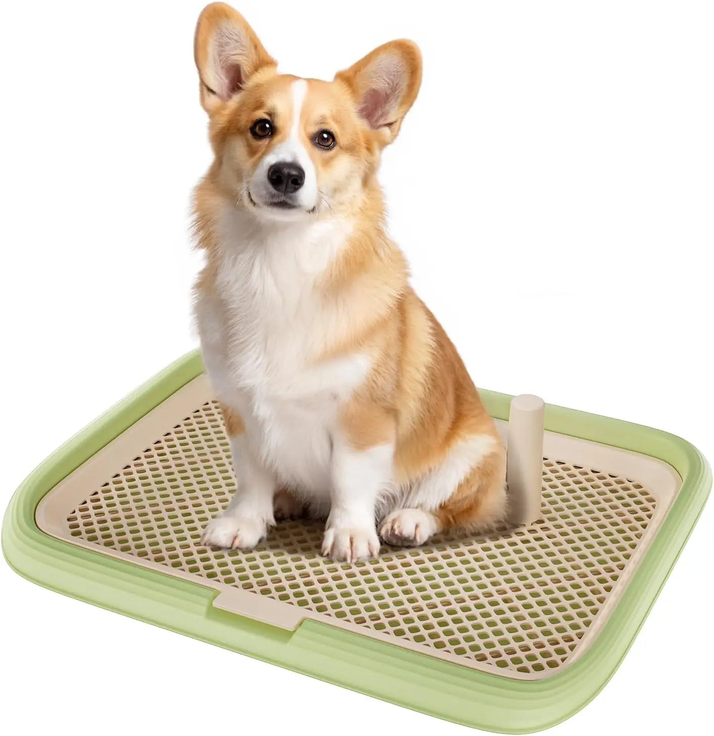 Dog Potty Tray, 23.6"x17.7" Indoor Pet Pee Pad Holder