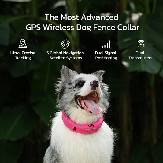 Dog Wireless Fences, Advanced GPS Dog Collar