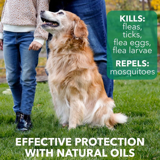 Natural Flea and Tick Dog Shampoo Plant Extracts