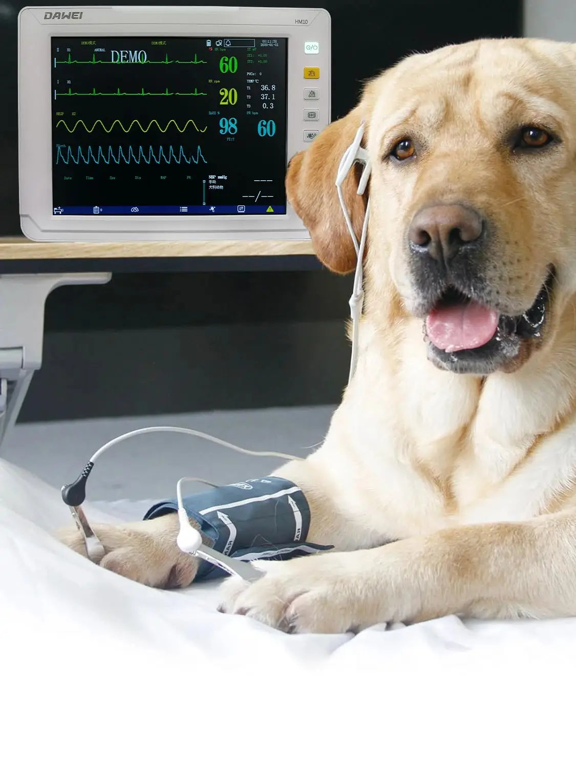 Portable Monitor 6 Parameter, 12.1" LCD Big Screen for Pet