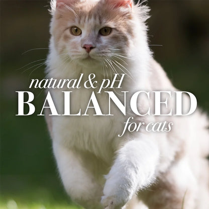 Dry Shampoo Cats Shea Butter Honey Spray pH Balanced