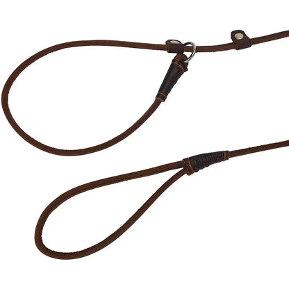 Genuine Adjustable Leather Slip Dog Leash Lightweight