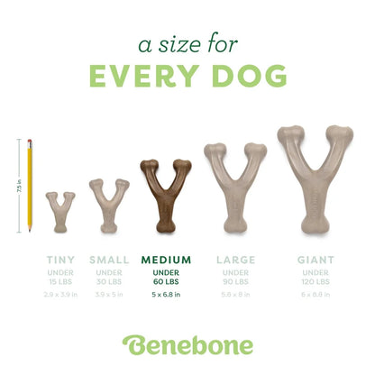 Durable Dog Chew Peanut Flavor Long Lasting