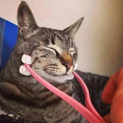 Multifunction Cat Face Massager  Interactive Massage Feet Leg