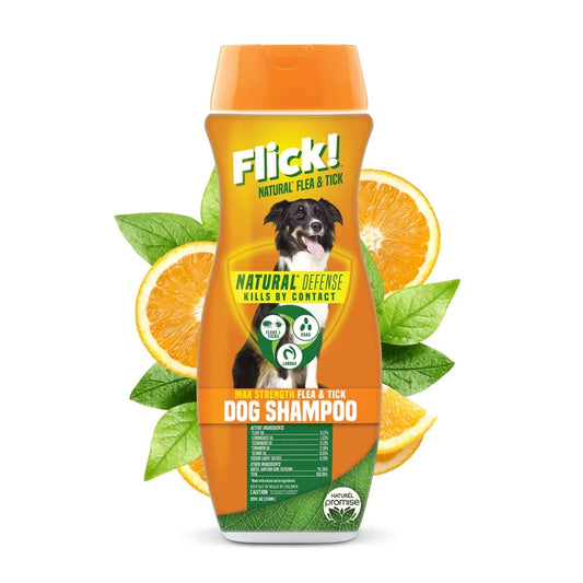 Natural Flea Tick Shampoo Dogs Essential Oils