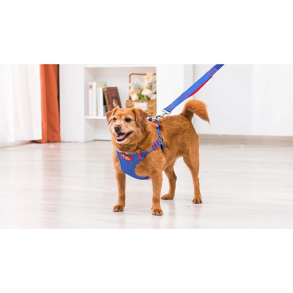Adjustable Breathable Mesh Dog Harness Step-in Style Medium
