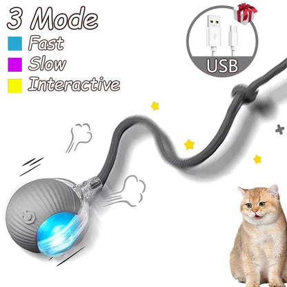 2Pcs Cat Interactive Ball Rechargeable