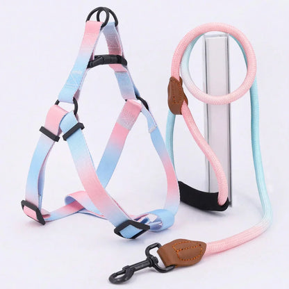 Set of colorful pet harness with leash