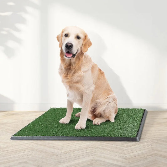 Artificial Grass Pee Pad for Dogs  - 20x30 Reusable 4-Layer