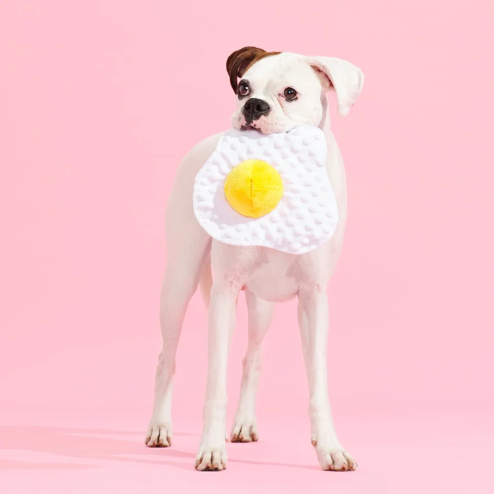 Egg Dog Toy Squeaky Ball Crinkle Fun Fetch