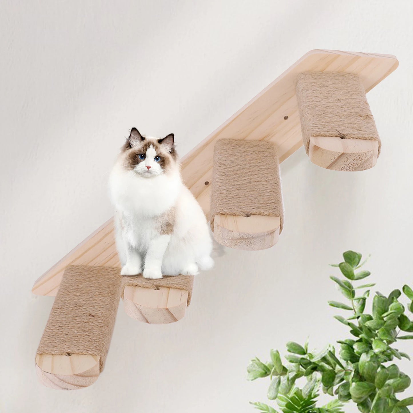 Wall Mounted Cat Climbing Frame for Cats Perch Shelves