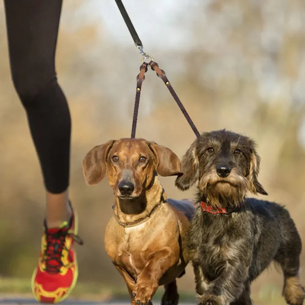 Real Leather Double Dog Leash