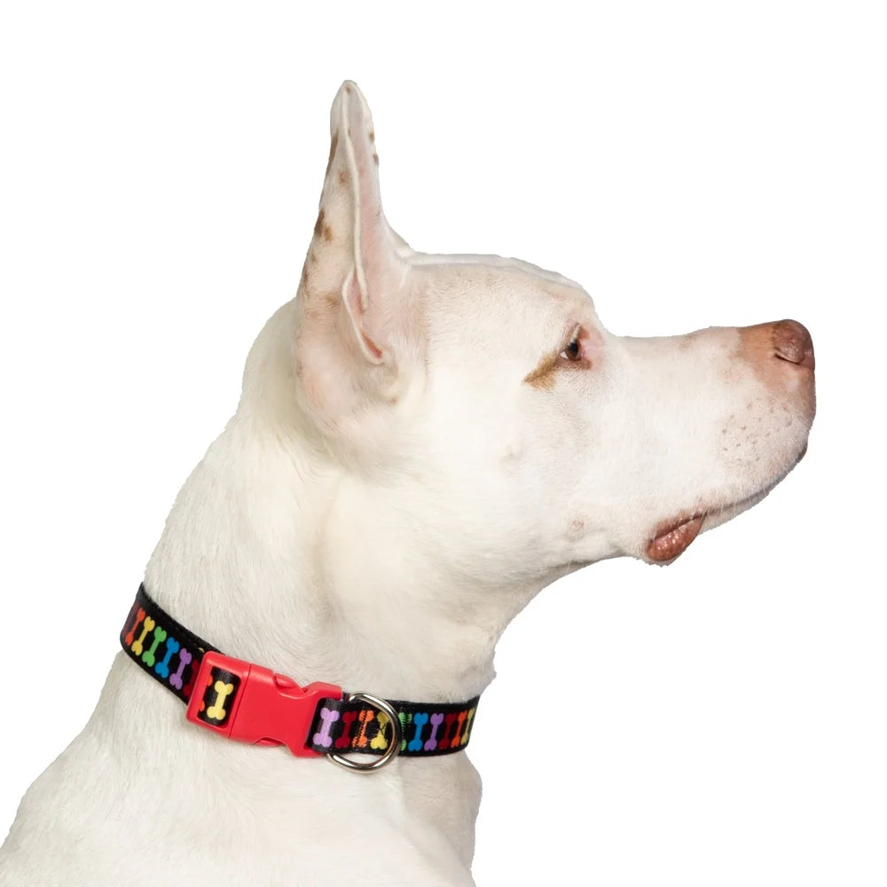 Colorful Bone Print Adjustable Dog Collar Large Durable