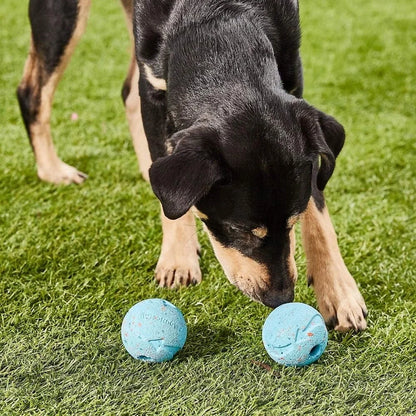 Ecofriendly Rubber Fetch Ball Durable Tear Resistant