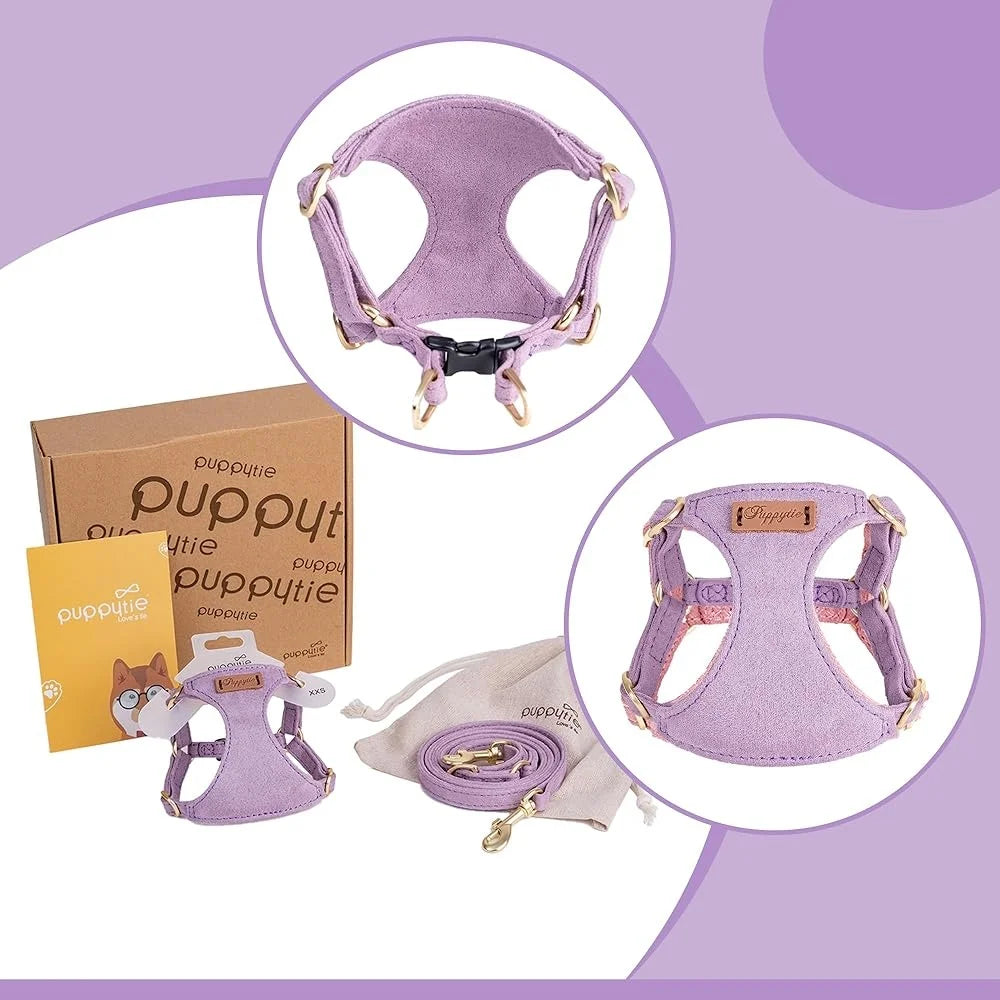 Adjustable Harness Pet Vest With Leash Breathable