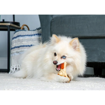 Tri-Point Shape Dental Care Chicken Flavor