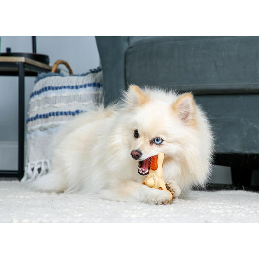 Tri-Point Shape Dental Care Chicken Flavor