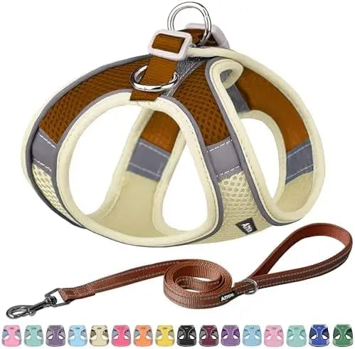 Adjustable Harness & Leash Set Comfortable Padded Small