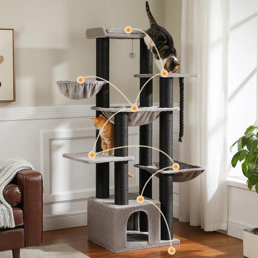 Large Cats, Tower with Several Levels, Hammock, Perch