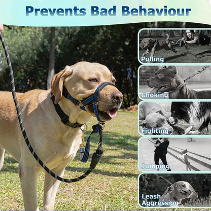 No Pull Dog Head Halter Heavy Pullers