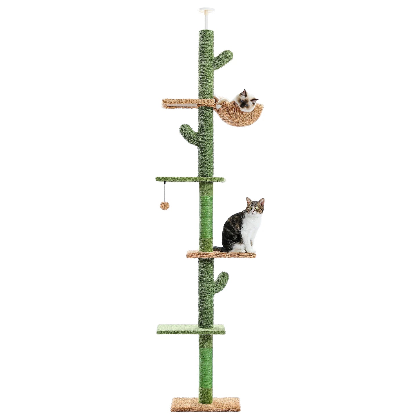 Floor to Ceiling/Tower/Cactus/Scratching Post/Hammock/Dangling Ball