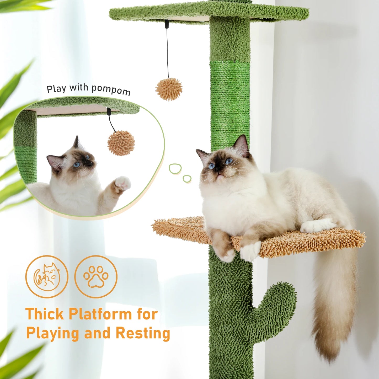 Floor to Ceiling/Tower/Cactus/Scratching Post/Hammock/Dangling Ball