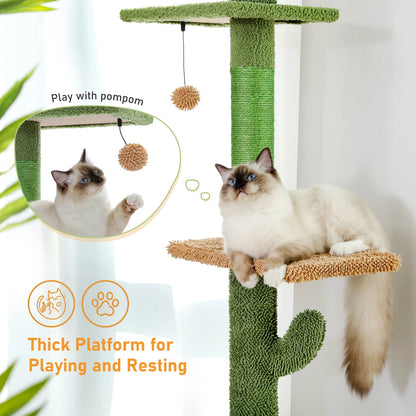 Floor to Ceiling/Tower/Cactus/Scratching Post/Hammock/Dangling Ball