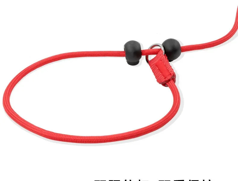 Training P-Shaped Chain Slip Lead Control Leash