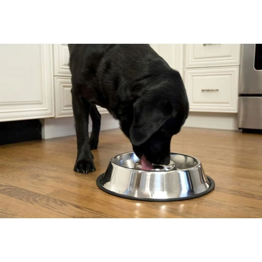 Slow Feed Stainless Steel Bowl Non-Skid