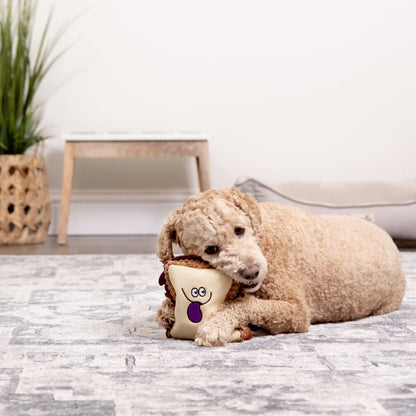 Dog Toy with Squeaker Soft Cuddly Interactive