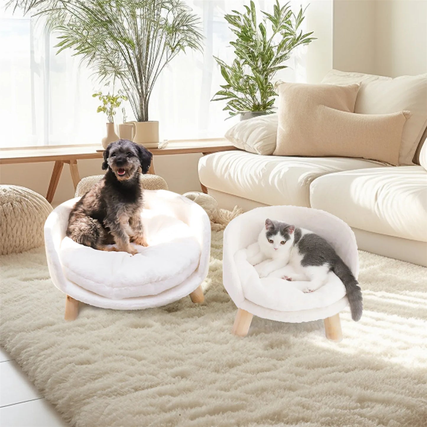 Pet Sofa Bed Raised Bed Removable Cushion