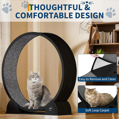 Cat Wheel Exerciser Quiet Treadmill with Pedometer