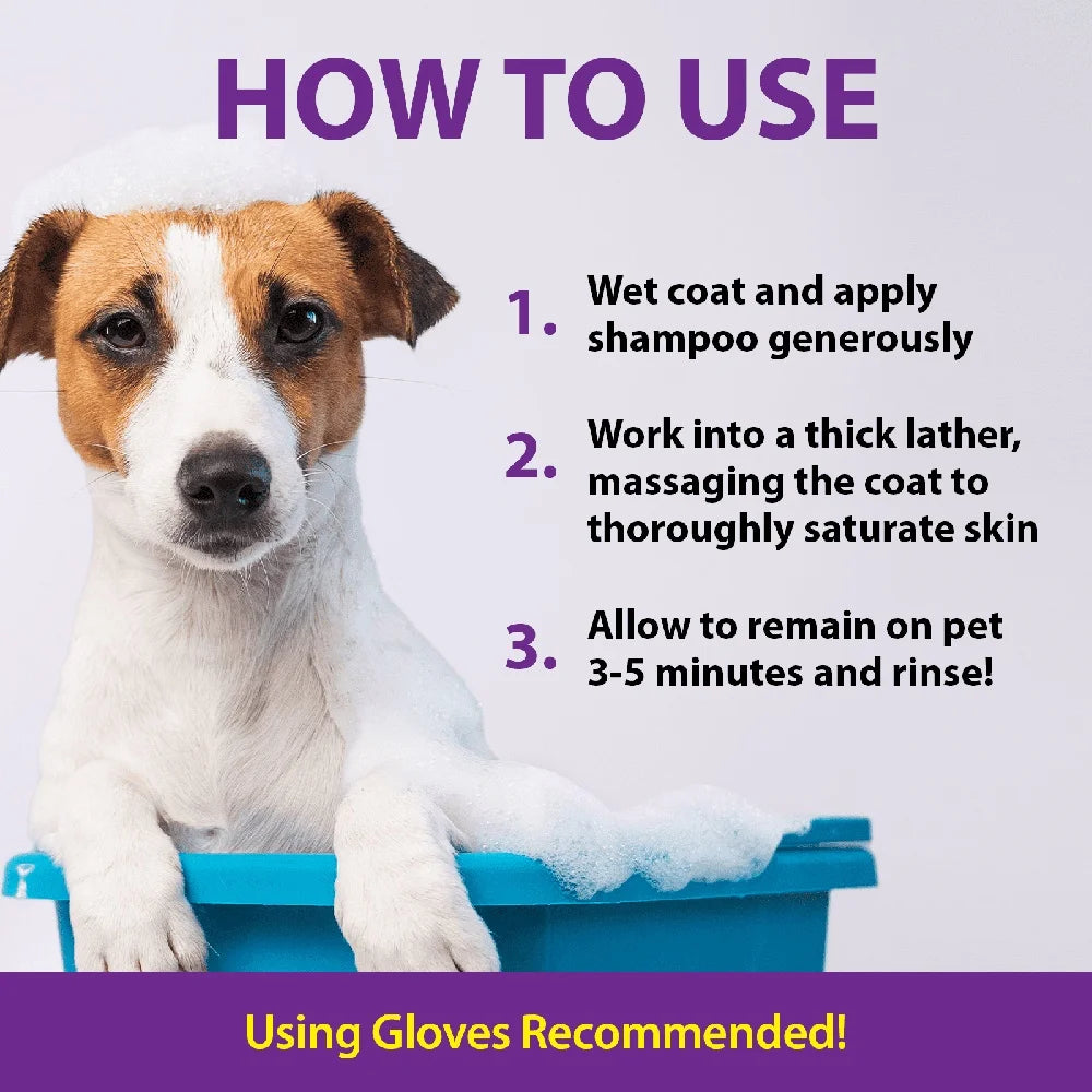 Odor Eliminating Shampoo Dogs Safe Gentle Cleaning All Surfaces