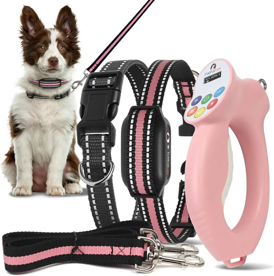 Dog Shock Collar & No-Pull Leash Set