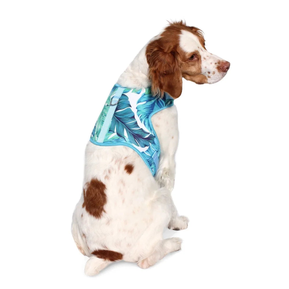 Adjustable Tropical Leaf Dog Harness Medium Comfortable Fit