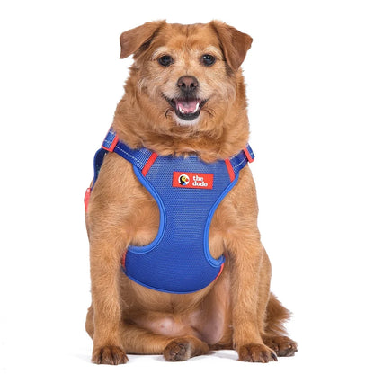 Adjustable Breathable Mesh Dog Harness Step-in Style Medium