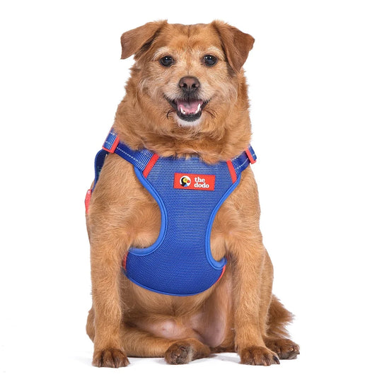 Adjustable Breathable Mesh Dog Harness Step-in Style Medium