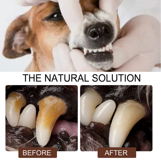 Dental Cleaning Spray Remove Plaque Tartar Freshen Bad Breath